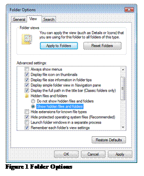 Text Box:    Figure 1 Folder Options