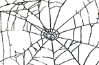 web