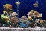 3D Aquarium
