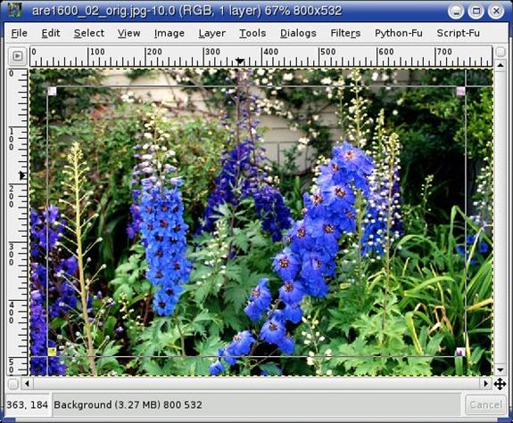 gimp2