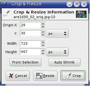 gimp3