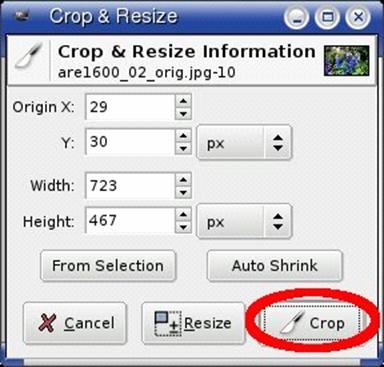 gimp5