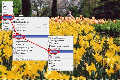 gimp7